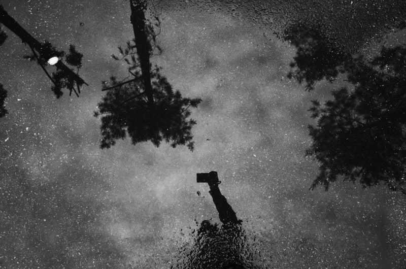 로일 카너 Loyle Carner