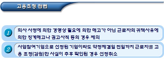 사회적기업 전문인력 지원 사업 참여 자격 및 제외 대상 사회적기업 전문인력 지원 사업 참여 자격 및 제외 대상