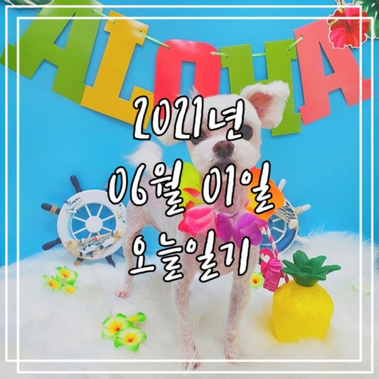  2021년 6월 1일