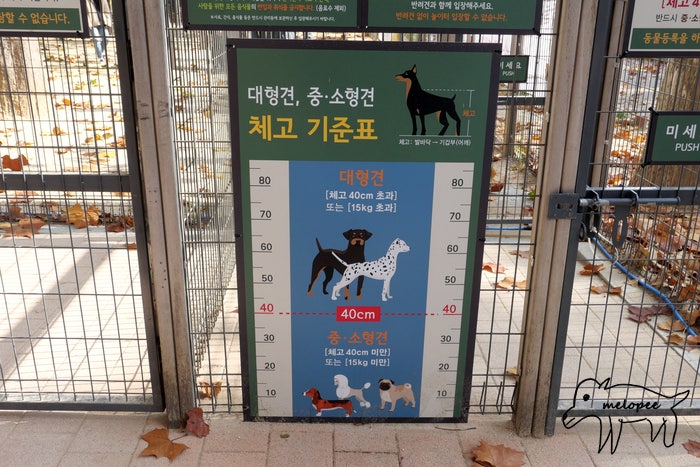 사진 2