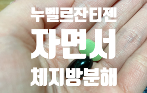  다이어트 보조제 추천 잔티젠효과 체지방 분해하는 누벨르 다이어트 찐후기 내돈내산