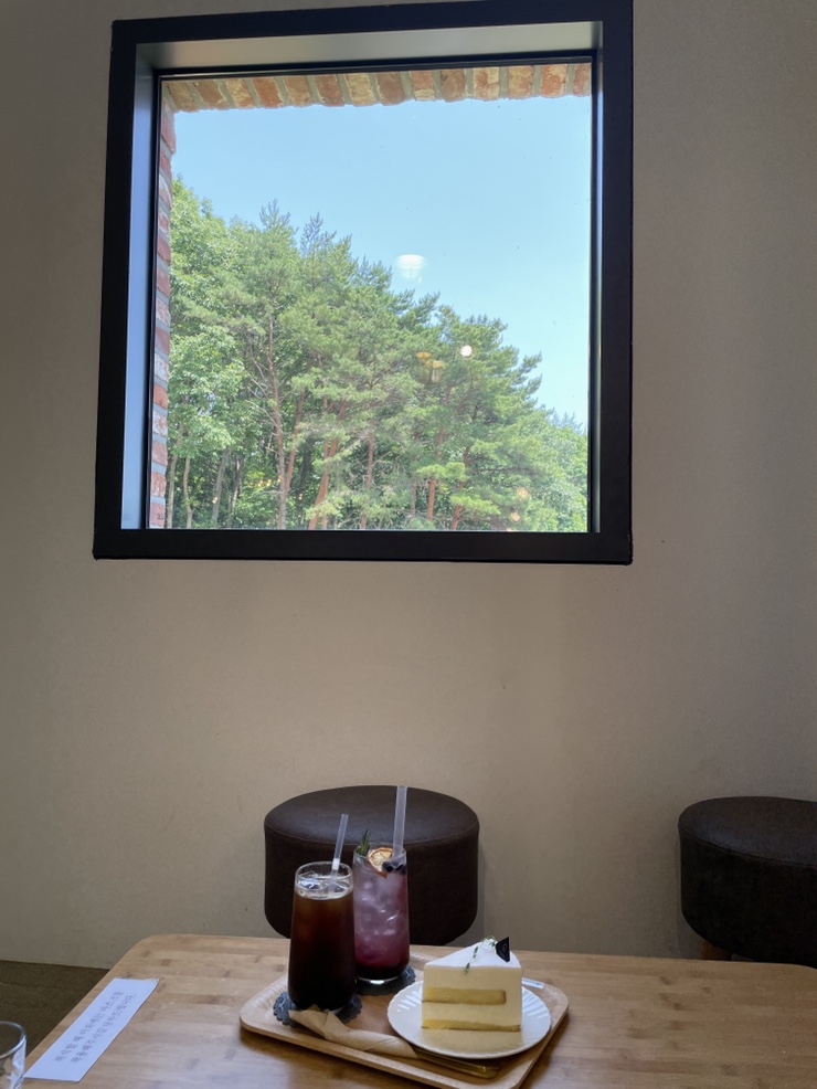  애견동반 가능한 기장 철마 토리나무