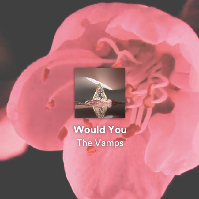  The Vamps - Would you [가사/해석/뮤비]