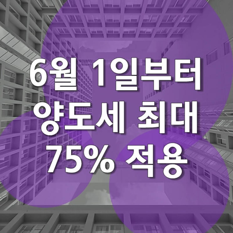  다주택자 양도세 중과 최고세율 75% 적용된다.
