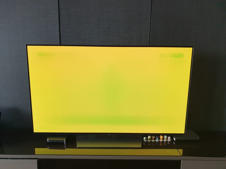  올레드 TV 번인 생기다..