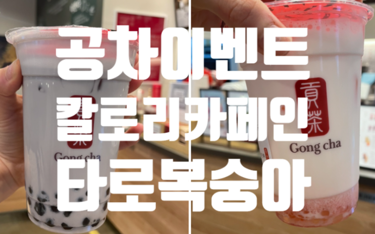  공차 6월 멤버십 이벤트 역대급! 복숭아쥬얼리밀크티 타로 당도 가격 칼로리 맛