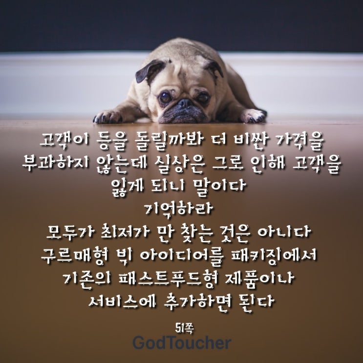 특별한 그 무엇 특별한 그 무엇