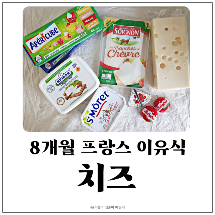  [프랑스 이유식] 8개월 아기 치즈 먹이기, 개월별 추천 치즈, 나트륨 함량 비교, 하루 섭취량, 주의사항