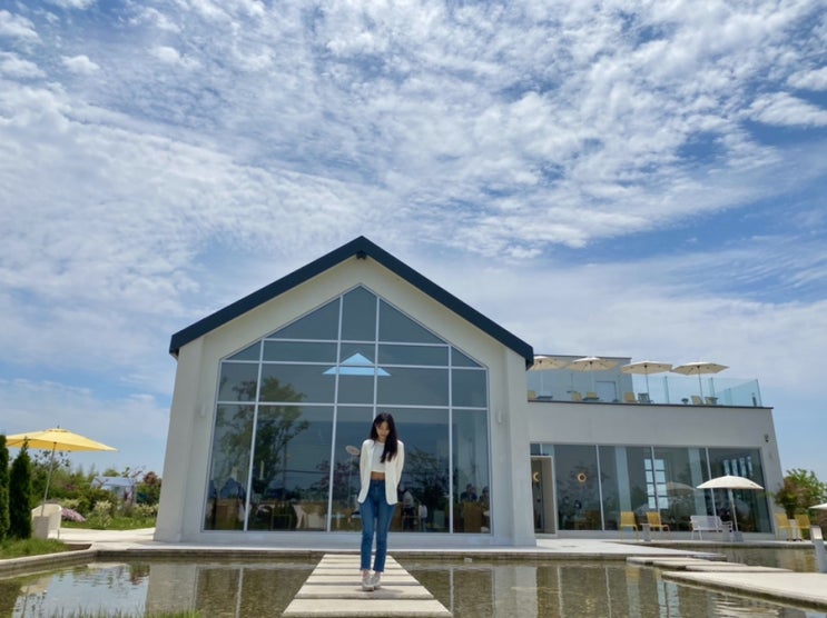  전주 근교 카페 오늘여기 (전주 애견동반 카페)