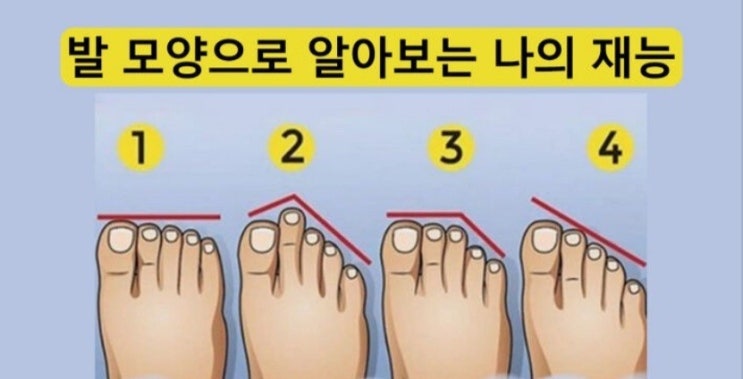  발모양으로 알아보는 나의 재능