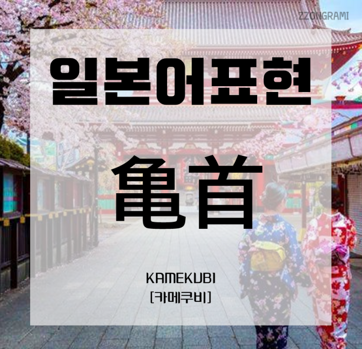  [일본어 공부] 일본어 표현 : 「亀首」
