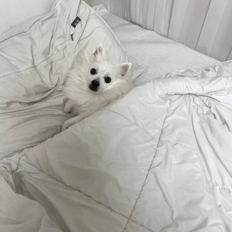  공개하는 일상