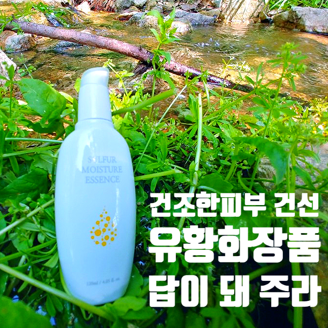 건조한피부 건선 가려움증 벗어나고 싶은 바람으로 사용해본 유황에센스 건조한피부 건선 가려움증 벗어나고 싶은 바람으로 사용해본 유황에센스
