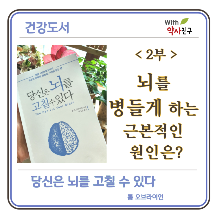  [당신은 뇌를 고칠 수 있다]-(2)뇌기능 장애에 영향을 미치는 근본적인 원인 알기(알츠하이머,우울증,불안,발작,조현병 등)