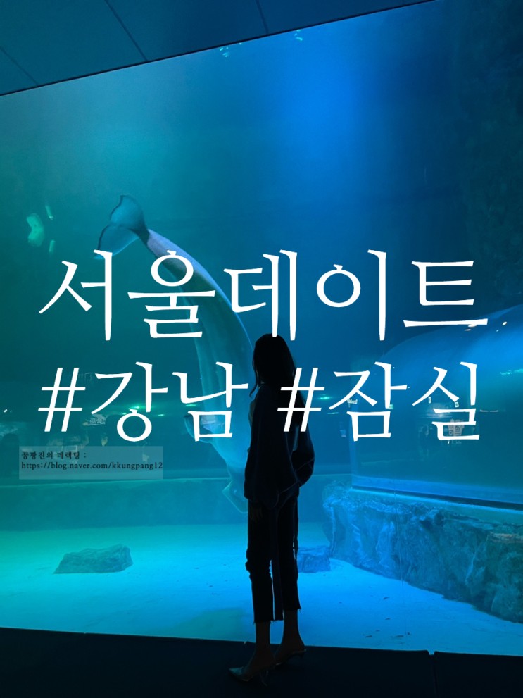 서울데이트코스추천 -롯데월드아쿠아리움/ 강남,신사
