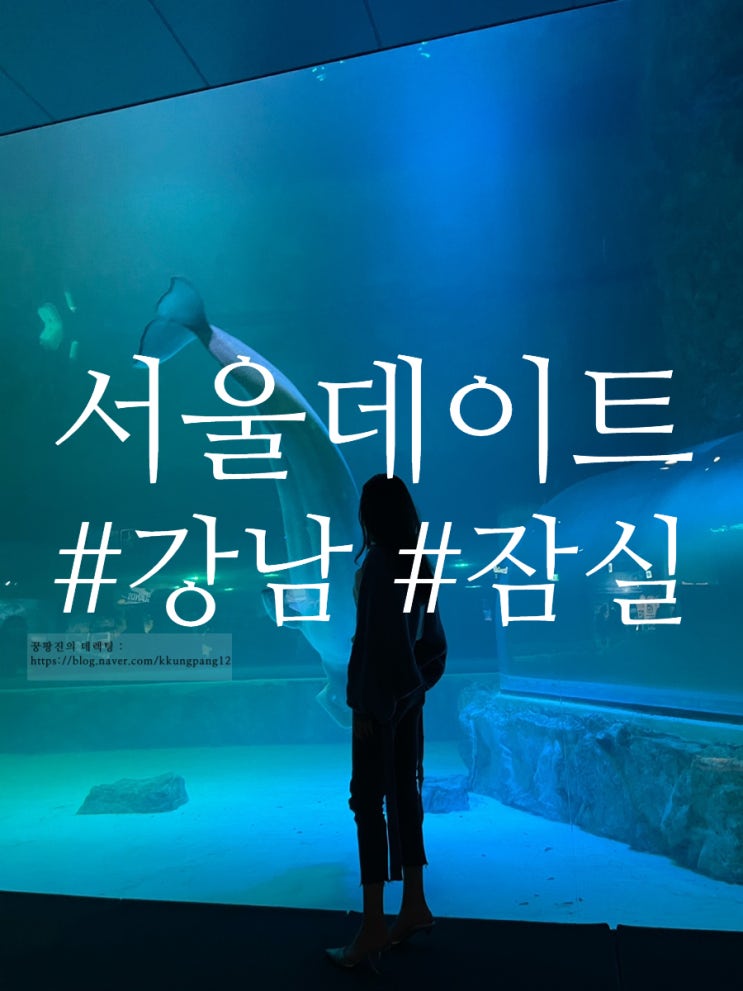  서울데이트코스추천 -롯데월드아쿠아리움/ 강남,신사