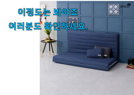 방구석전문가 선택 라버트리 메모리폼 3단 접이식 매트리스 모두의선택 와이프가 인정하네요 방구석전문가 선택 라버트리 메모리폼 3단 접이식 매트리스 모두의선택 와이프가 인정하네요