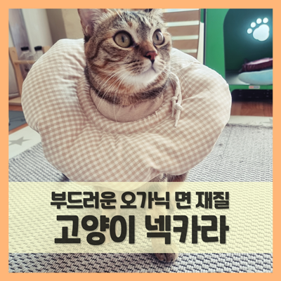  고양이 넥카라 스트레스 줄이고 싶었어요 (f. 개놀자 오가닉 도넛형)