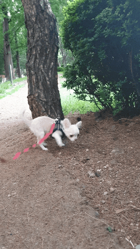  오늘일기 210601