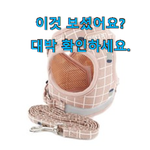  골라골라 강아지 하네스 세트 구매목록 와이프도 좋아하네요