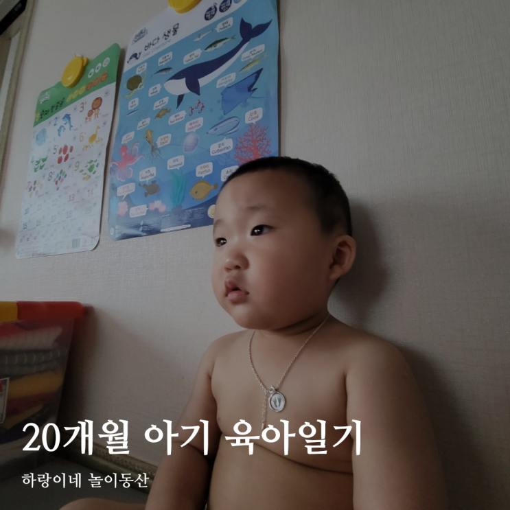 20개월 아기 성장발달 육아기록 / 생후 602일 / 가지고싶은거 조르기, 물건 고르고 계산, 부모공경 말고 공격