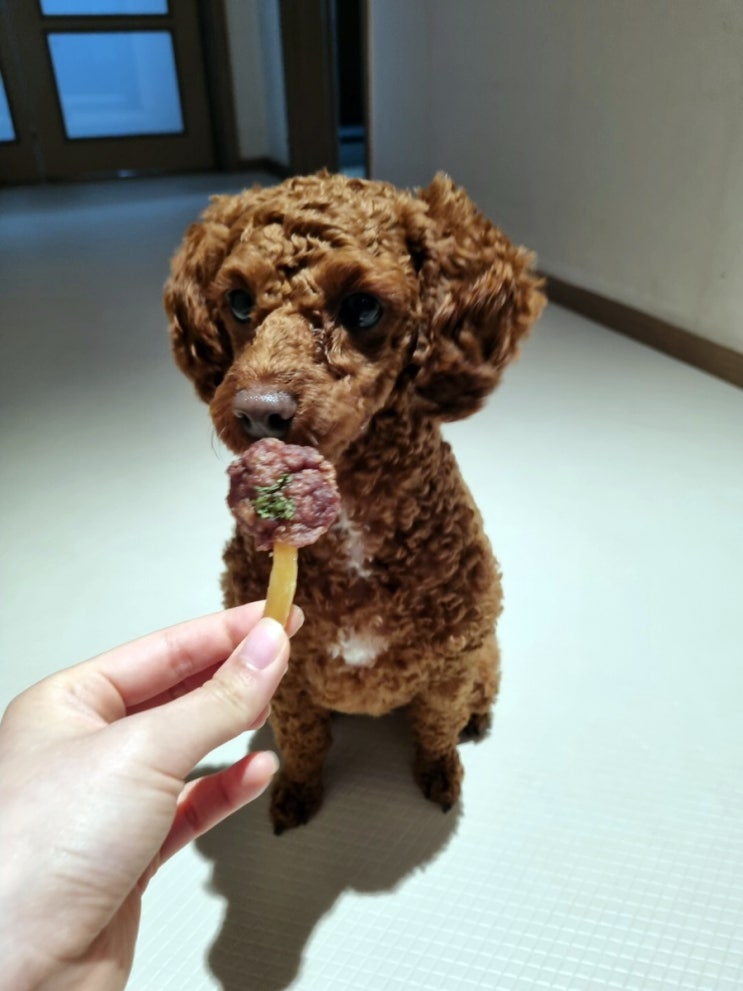  강아지간식 푸들간식으로 딱인 수라간 소떡심 닭안심저키 대박이네요