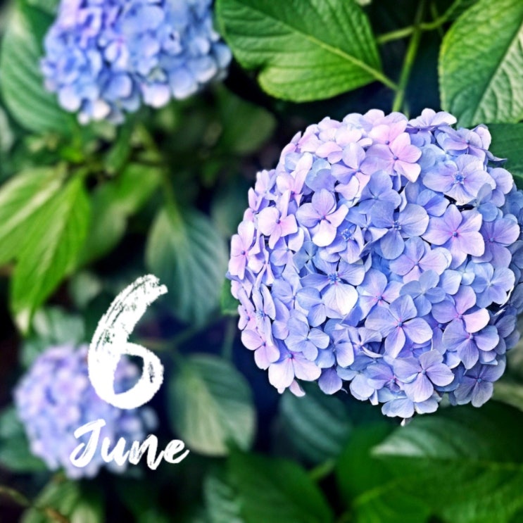  Hello June