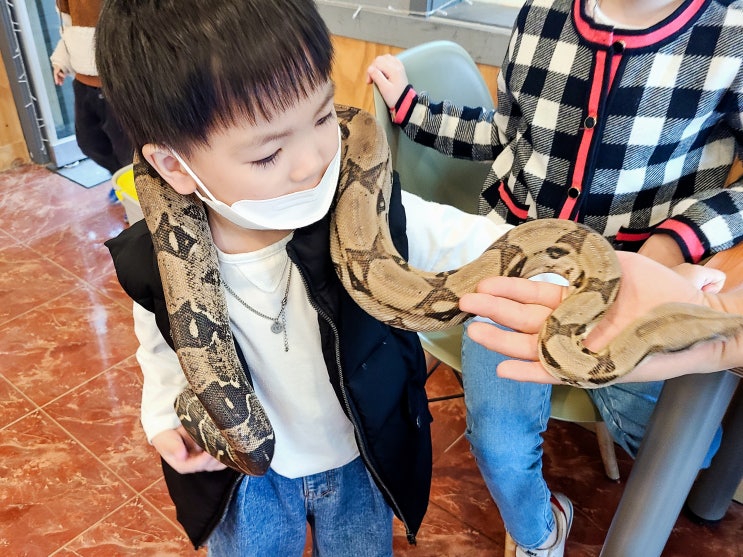 포천 주파크 아이들과 가볼만한 동물원 여행 뱀을 만질수있는곳
