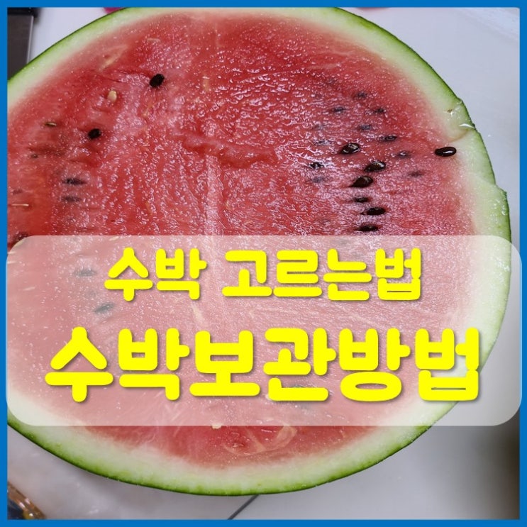  맛있는 수박보관법 및 보관기간