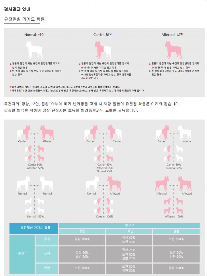  랙돌 HCM 유전자 검사 결과 - 알렉산더돌스 랙돌캐터리