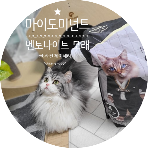 열무콩보리밥 다묘집사가 추천하는 고양이 모래 (feat. 마이도미넌트 벤토나이트)