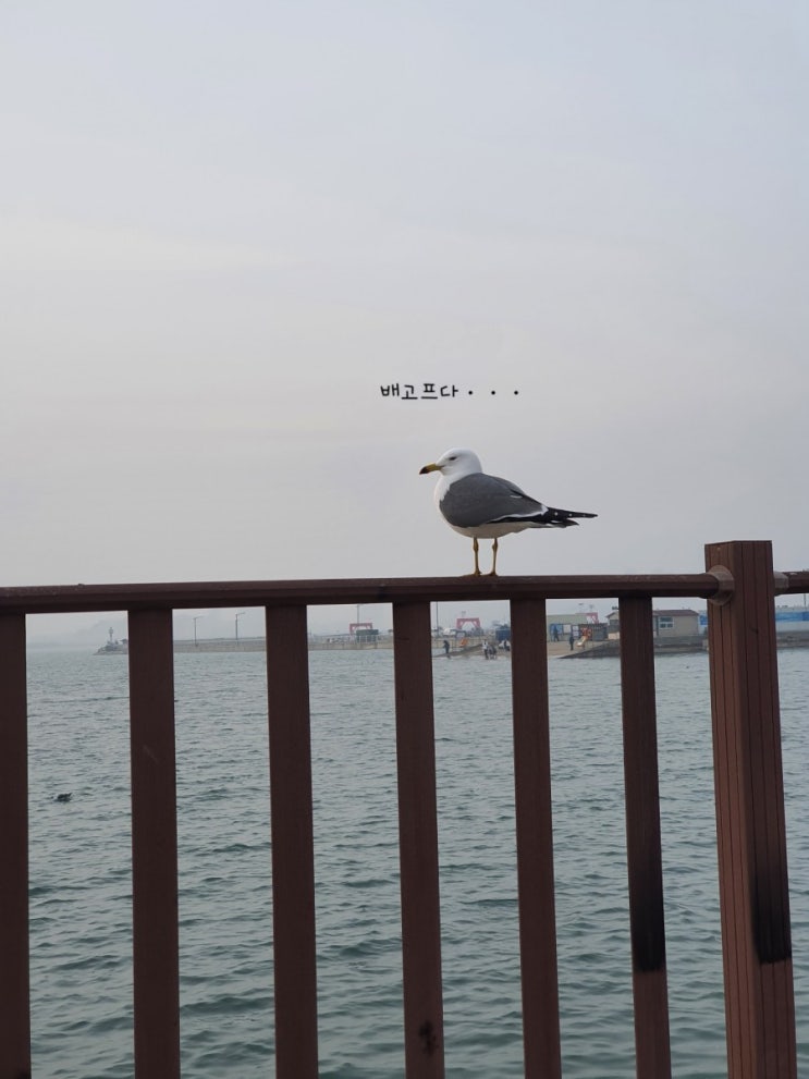  삼겹살 먹으러 간다