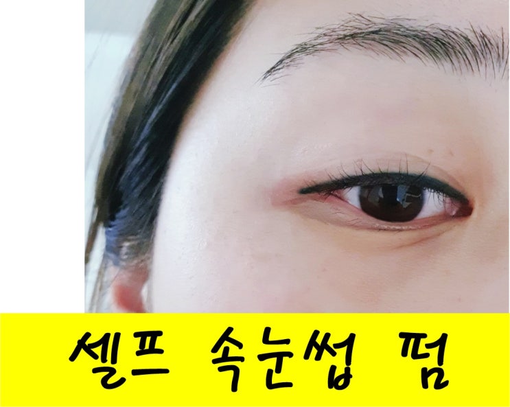  아던샵 속눈썹펌 셀프 첫시도 리뷰 ((TIP포함))