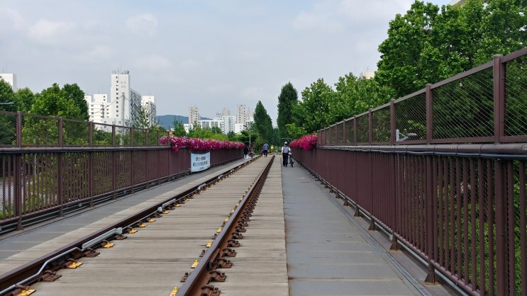  경기북부 라이딩 코스 짧은 장화코스 그리기(중랑천-경춘선숲길-왕숙천-한강 자전거길-중랑천)