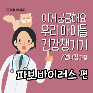 고양이 전염성 질환 ② 파보 바이러스 편 (센텀동물메디컬센터 엄나영 수의사)