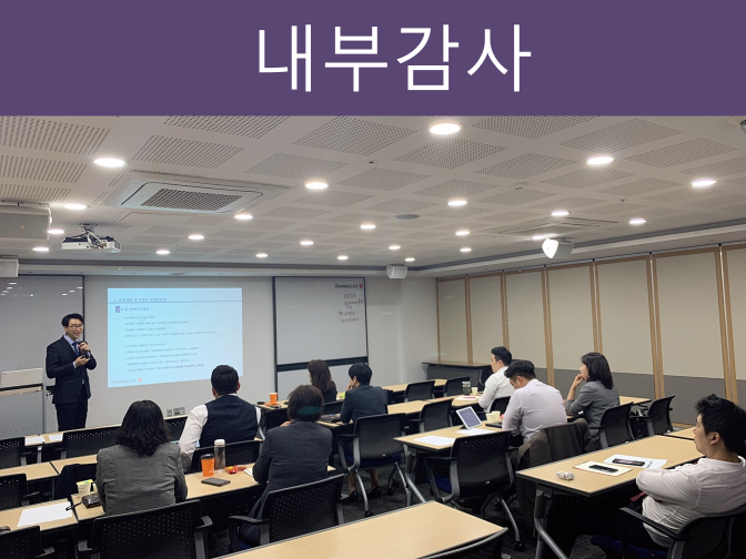  내부감사기구 책임, 내부통제 미비점, 업무범위
