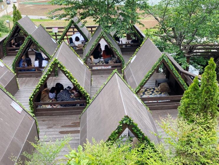  안면도 애견동반카페 핫플ㅇㅈ: 트레블브레이크커피