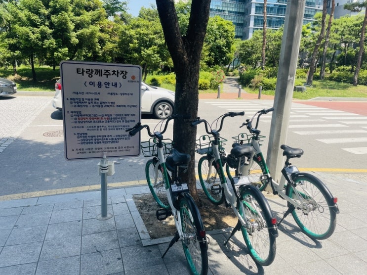  동대구에서 광주까지 가는 법, 지역감정이 생길 수 밖에 없는 이유 | 오늘 일기 | 6월 1일