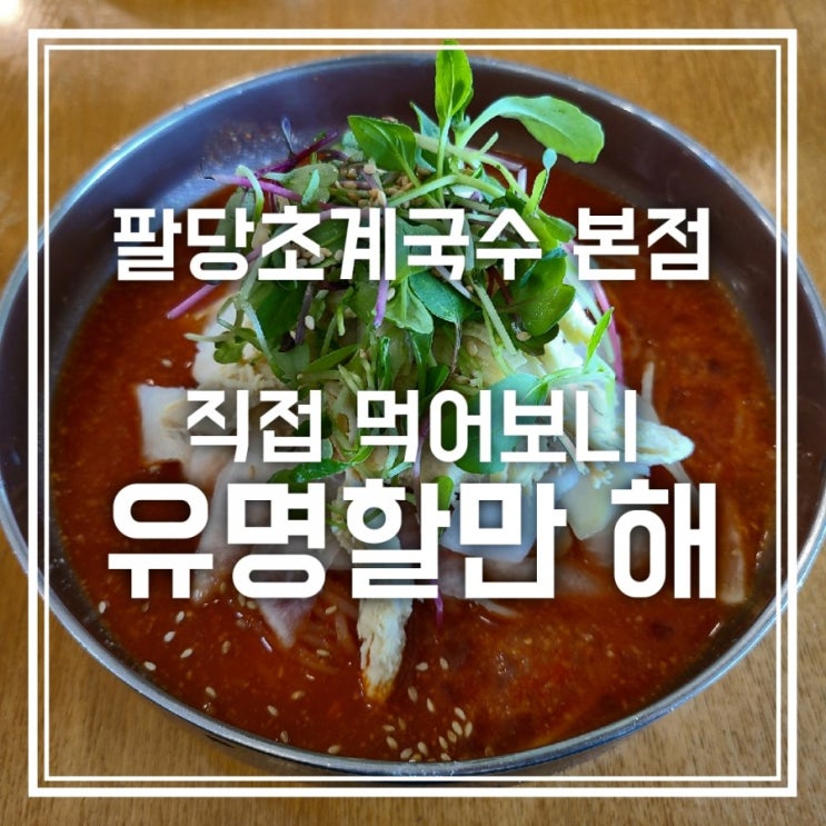 팔당역 초계국수 맛집 팔당초계국수본점 나도 먹어봤는데