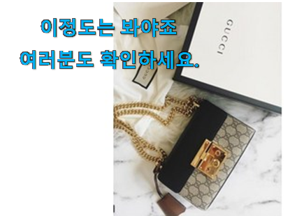 품절주의 구찌 숄더백 가성비목록 너무 좋습니다 품절주의 구찌 숄더백 가성비목록 너무 좋습니다