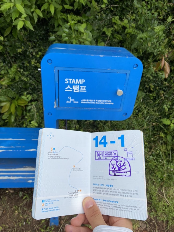 여자혼자 제주 올레길 14-1코스 같이 걸어요!