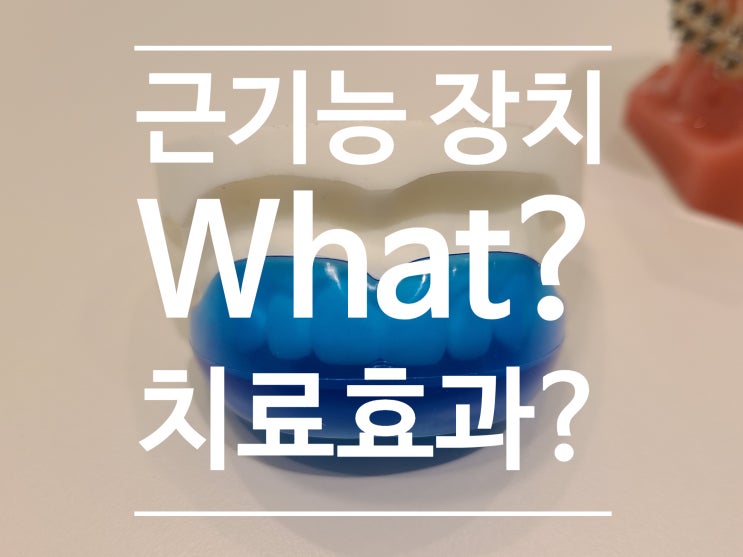 하남 미사 교정전문, 근기능장치(MFT)의 치료 효과를 알아보자 (feat. preortho/프리올소, EF line/이에프라인) 하남 미사 교정전문, 근기능장치(MFT)의 치료 효과를 알아보자 (feat. preortho/프리올소, EF line/이에프라인)