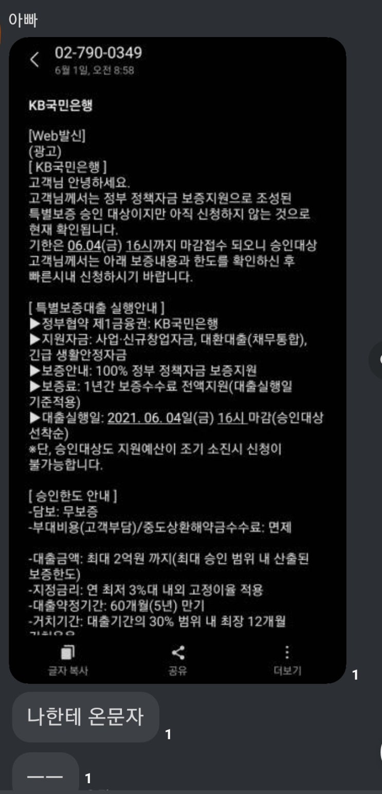  정책자금 특별보증 문자& 카톡 보이스피싱 주의 !