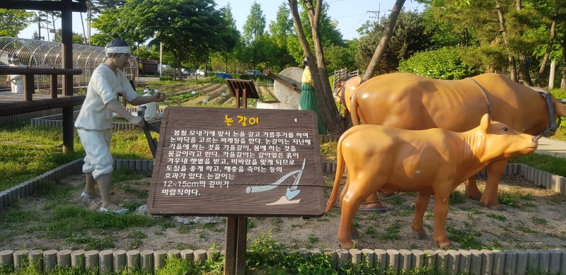 사진 3