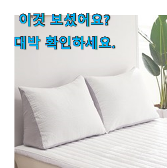  할인 삼각 등쿠션 2인용 아이템 요즘 이거 없이는 못살겠어요 ㅎㅎ