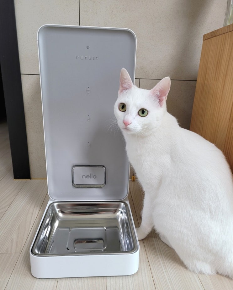  예쁘고 안전한 쿠쿠 넬로 고양이 자동급식기 기능 사용후기