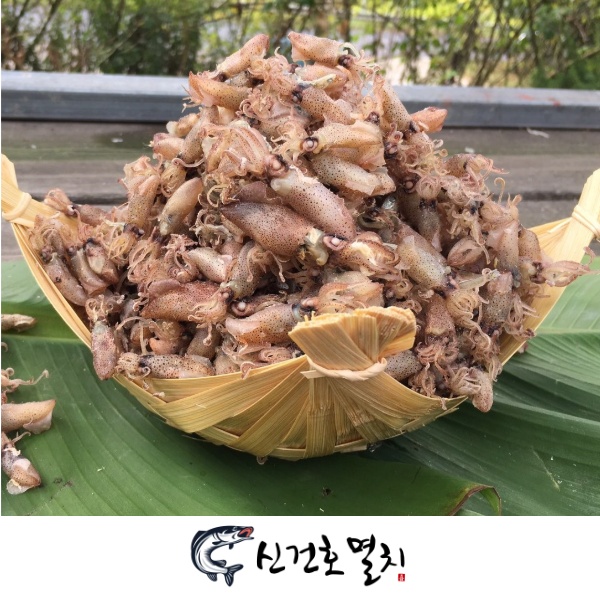 후기가 정말 좋은 신건호멸치 직접생산 국산 햇 꼴뚜기 1.5KG, 1box 추천해요 후기가 정말 좋은 신건호멸치 직접생산 국산 햇 꼴뚜기 1.5KG, 1box 추천해요