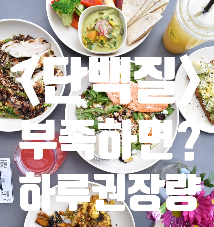  단백질 부족현상 부족하면 ?.. 단백질 좋은점 1일 하루 권장량은?