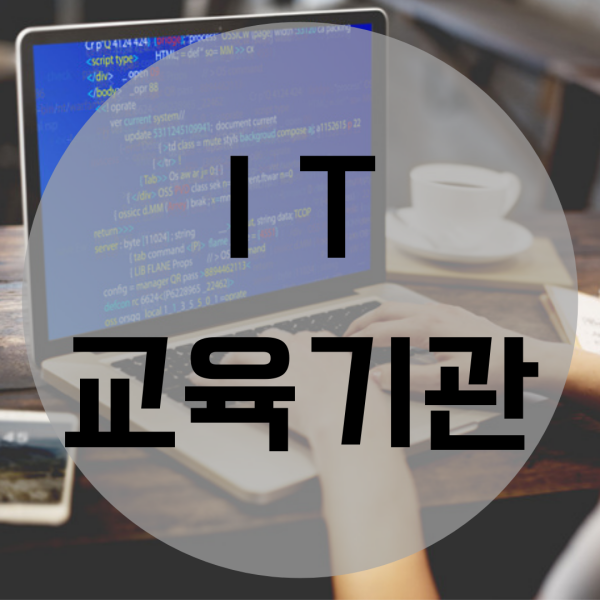  IT교육기관 진학 / 취업 완벽 대비 가능한 곳!