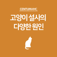  고양이 설사의 다양한 원인